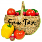 Fermă Totora – fructe și legume